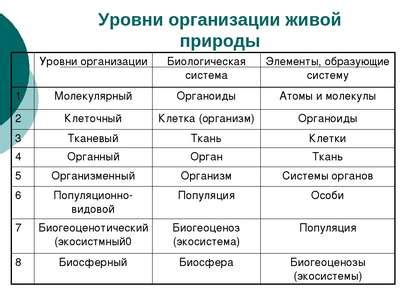 Симбиоз и мутуализм: примеры из живой природы