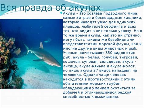Символика толкования снов об акулах и их значениях