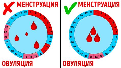 Симптомы и признаки необычно повышенной температуре в одной из стадий менструального цикла