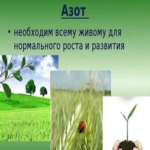 Симптомы недостатка азота