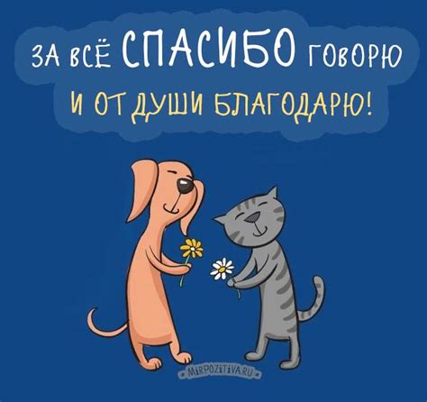 Сказать "спасибо" и передать позитивную энергию