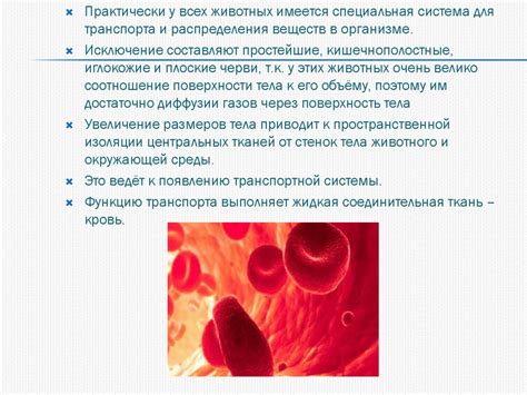 Скорость восстановления кровеносной системы