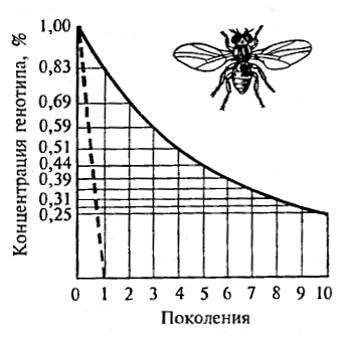 Скорость действия и эффективность
