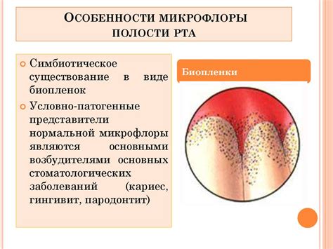 Слабый иммунитет и нарушение микрофлоры полости рта