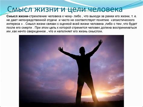 Смысл жизни человека: искать смысл