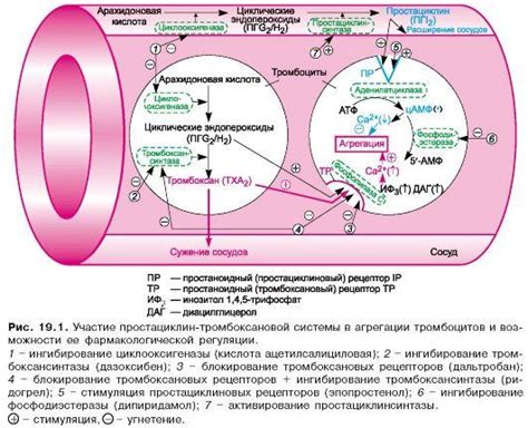 Снижение активности почек