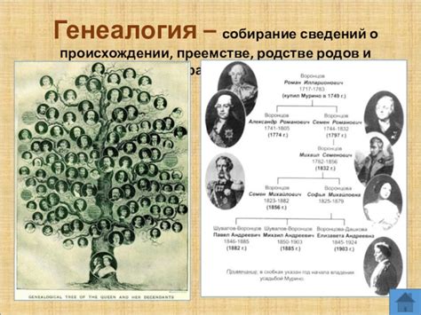 Собирание сведений и улик