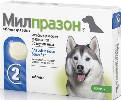 Советы ветеринаров по использованию препарата для собак