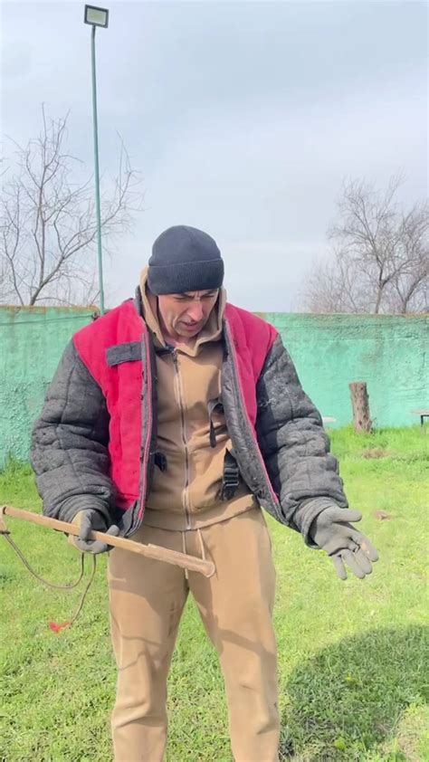 Советы для уменьшения воя собаки на привязи: