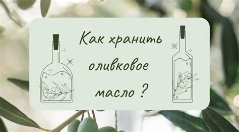Советы по выбору и правильному хранению оливкового масла