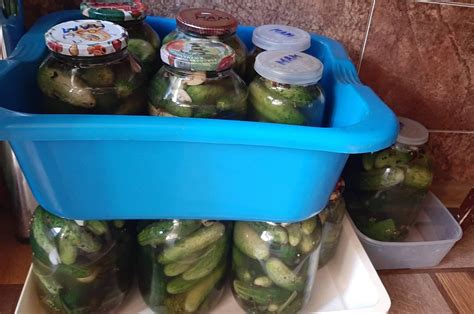 Советы по замораживанию огурцов на зиму