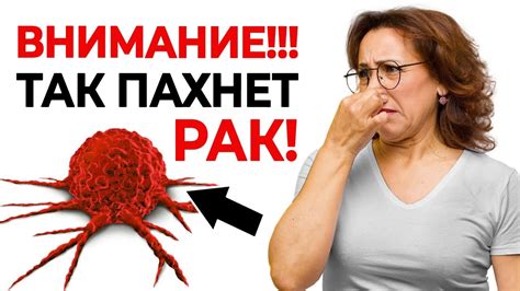 Советы по предотвращению вкуса мыла во рту