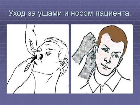 Советы по применению и уходу за ушами