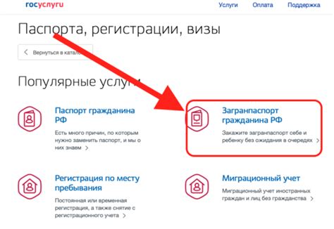 Советы по ускорению процесса очистки сазана:
