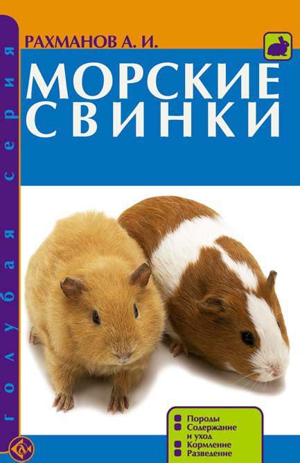 Совместное содержание животных: что нужно знать