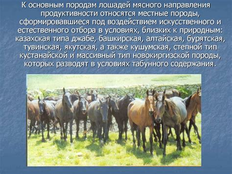 Современное значение и перспективы развития