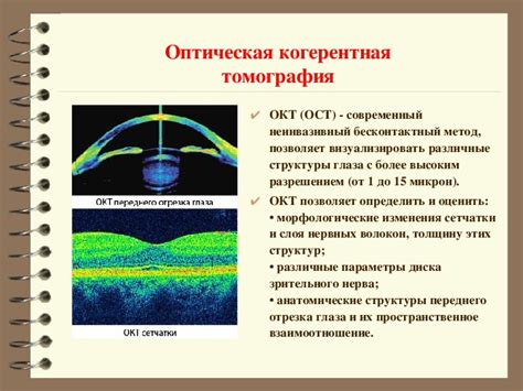 Современные исследования на тему зевоты