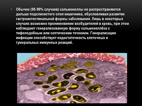 Современные подходы к лечению нарушения функции печени