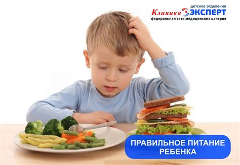 Современные толкования и практика употребления кровянистых продуктов