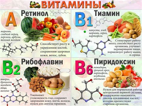 Содержание витаминов и минералов необходимых для здоровья организма