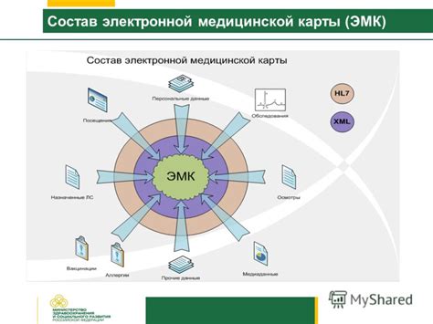 Содержание электронной медицинской карты: основные информационные блоки