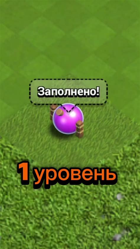 Созвучность Рижского Эликсира с другими напитками