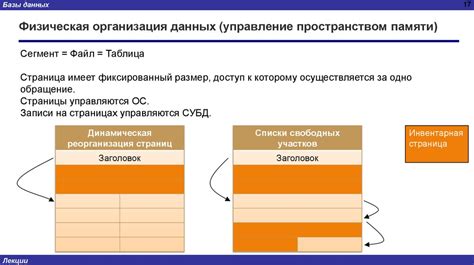 Создание базы данных в командной строке системы управления реляционными базами данных