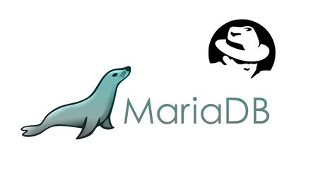 Создание нового пользователя в MariaDB