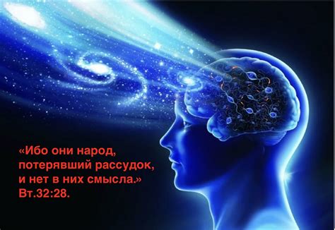Сознание и разум человека