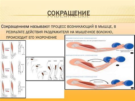 Сокращение мышц, сдавленные сосуды