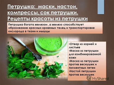 Сок и отвар из листьев петрушки: рецепты и советы