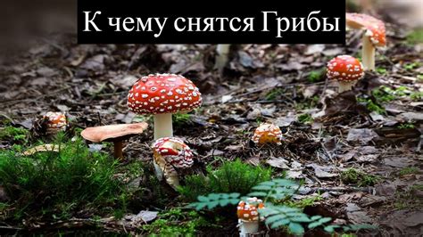 Сонник: видеть много пирогов во сне