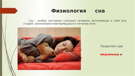 Сон и его влияние на организм