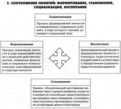Соотношение и взаимосвязь понятий