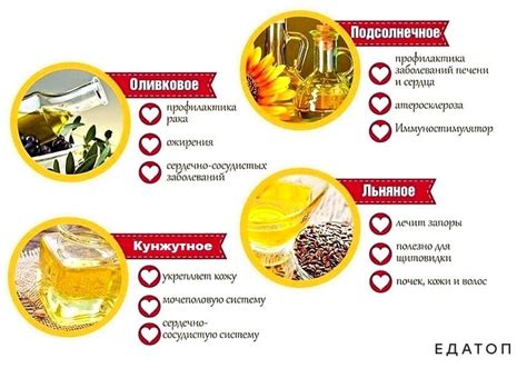 Состав и полезные свойства масел