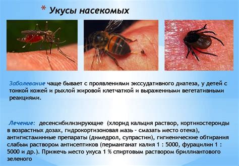 Состояние и последствия при укусе небольшого насекомого на веке