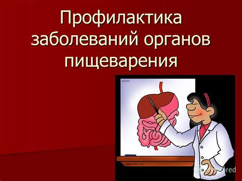 Сохранение здоровья пищеварительной системы важно для предотвращения заболеваний