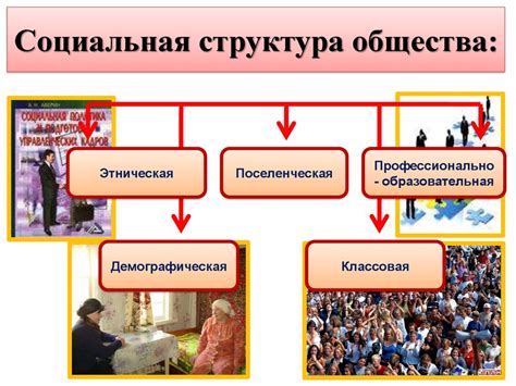 Социальная структура как основа общественного устройства