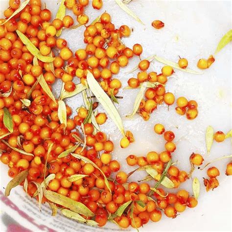 Сочетание облепихи с другими продуктами