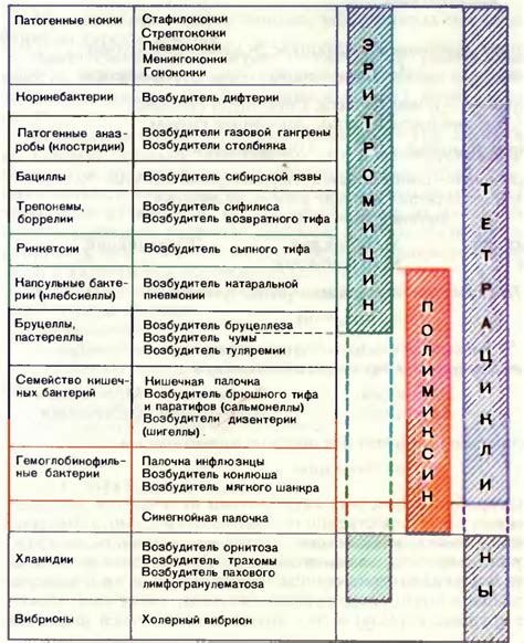 Спектр действия