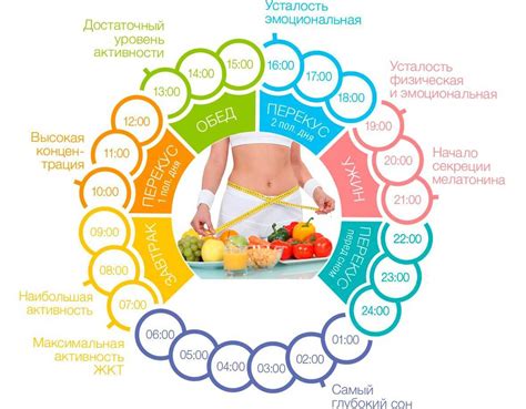 Специальная диета и режим питания