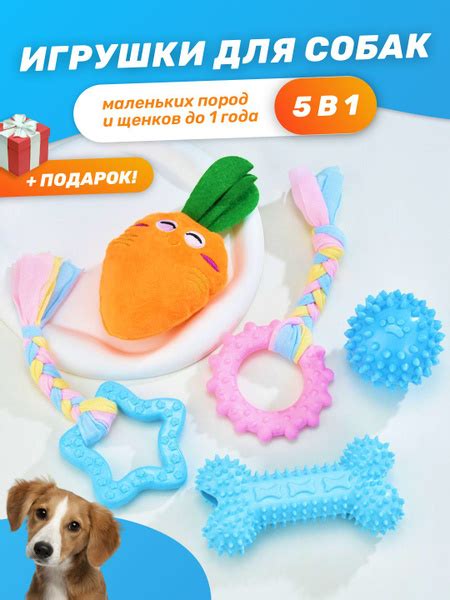 Специальные игрушки и предметы для грызения