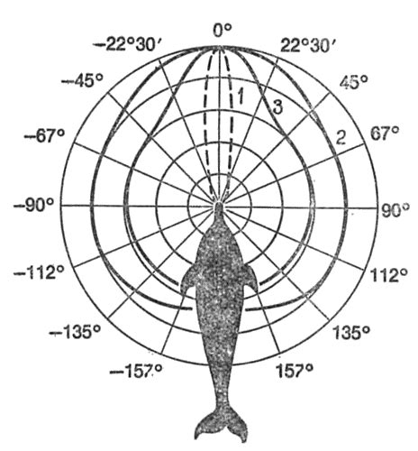 Спецификации морской акустики и острота слуха дельфина