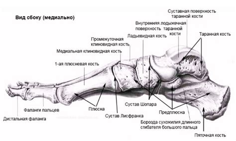 Специфика лечения ушибов и переломов пальцев стопы