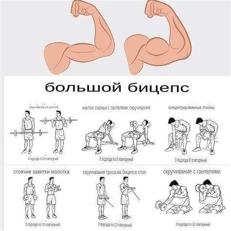 Список полезных упражнений