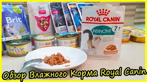 Список рекомендаций для безопасного использования просроченного кетонала в ампулах