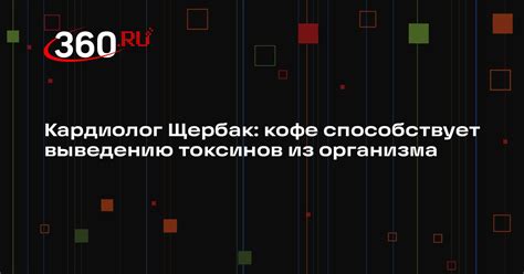Способствует выведению токсинов