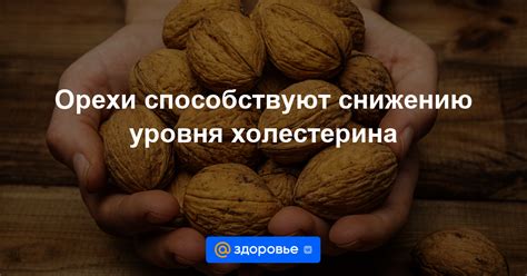 Способствуют снижению уровня холестерина