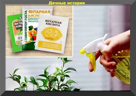 Способы использования аспирина и янтарной кислоты