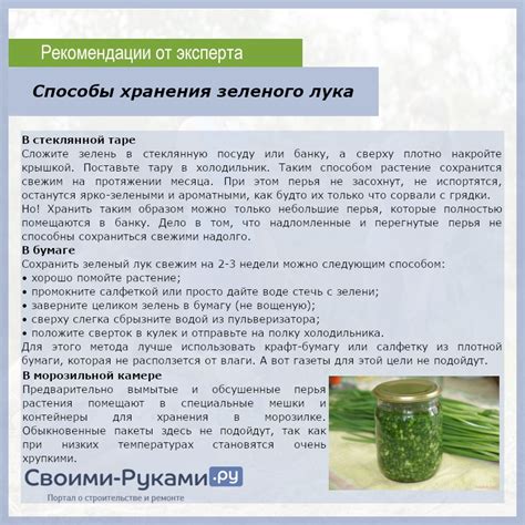 Способы использования лука зеленого в оливье